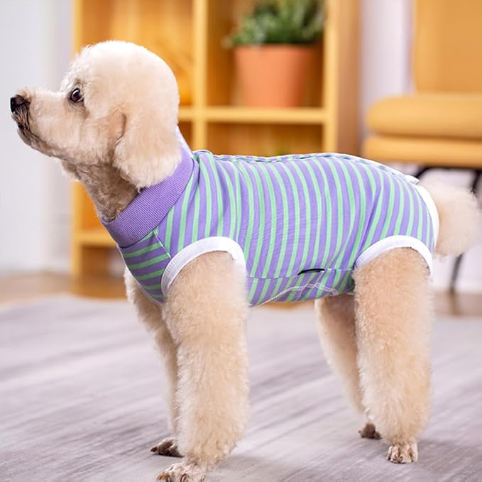 Dog Surgery Recovery Suit,Female Male Puppy Shirt,Dog Spay Neuter Onesie,E-Collar Cone Alternative,Abdominal Wound Protector,Prevent Licking Wound(Green Purple Stripe-XL)