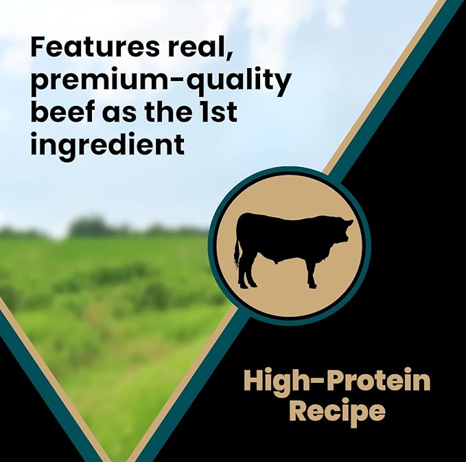 VICTOR Super Premium Dog Treats – Classic Hi-Pro Savory Bites with Real Beef – Supports Immune System, Digestive Health, & Healthy Coat – Tender Beef Treats for Active and Sporting Dogs, 14 oz