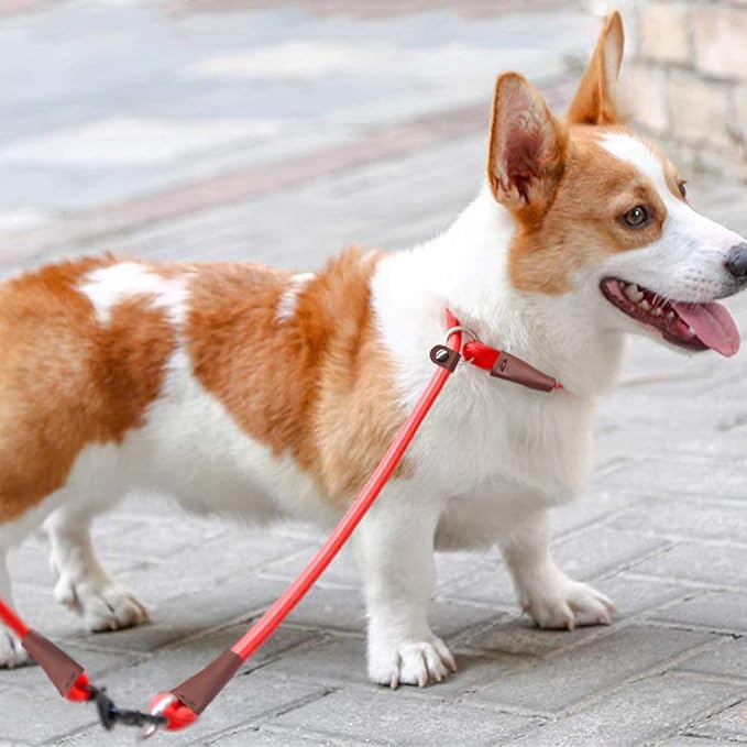 MayPaw Slip Collar Nylon Rope Adjustable Collar for Dog Training- No Pull Round Martingale Dog Collars for Small Medium Large Dogs (24" x 1/2", Red)