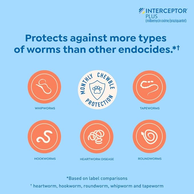 Interceptor Plus Prevention for Heartworm + 4 Other Worms for Dogs 25.1-50 lbs. | 6 Chews, 6-Month Supply
