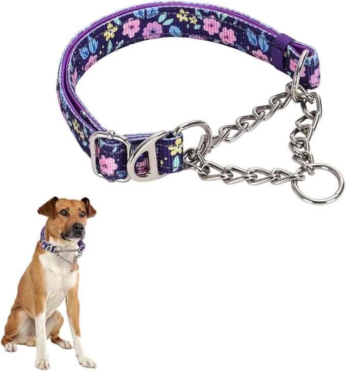 Chain Martingale Collar for Dogs，Stainless No Pull Slip Cinch Choker Choke Collar Training Escape Proof Heavy Duty Dog Collar for Small Medium Large Pet Girl Female Dogs XL