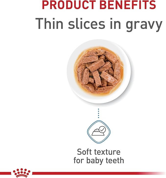 Royal Canin Size Health Nutrition Large Puppy Thin Slices in Gravy Dog Food, 13 oz (Pack of 6)
