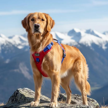 Tactical Dog Harness for Large Medium Dogs No Pull Adjustable Pet Vest with Reflective Straps Front & Back Clips Handle for Hiking Walking Hunting– 4 Sizes with or Without Leash (RED, XL)