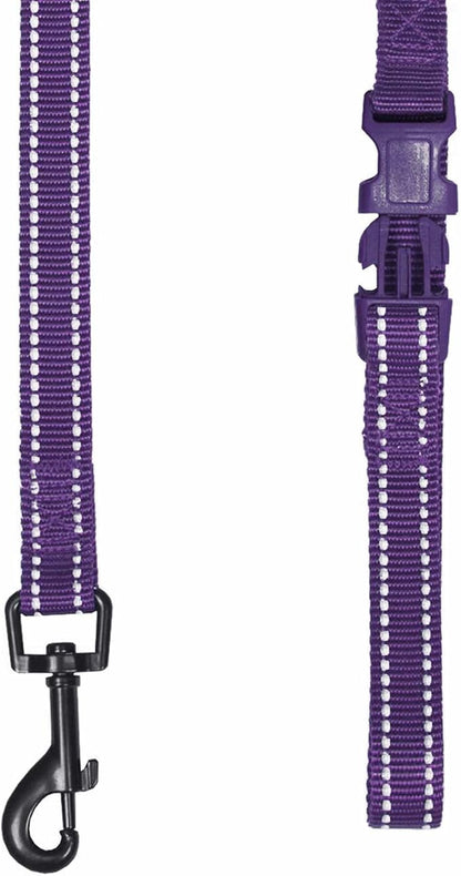 Blueberry Pet Essentials Durable 3M Reflective Classic Dog Leash 4 ft x 1", Violet, Large, Leashes for Dogs