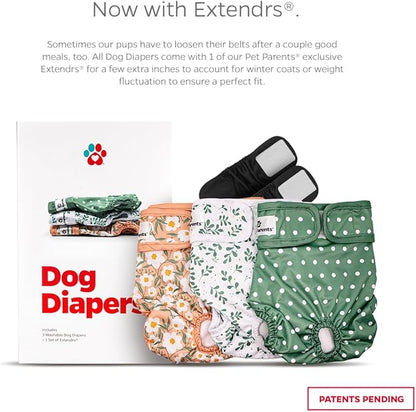 Pet Parents® Washable Dog Diapers (3pack) + Extendrs® of Durable Doggie Diapers, Premium Dog Diapers Female (Small, Daisy)