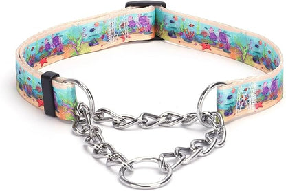 Martingale Dog Collar with Stainless Steel Chain - Limited Chain Cinch Training Collar for No Pull Training Dog - Flower Multicolor Cute Patterns - Premium No Slip Collar (XL, Ocean)