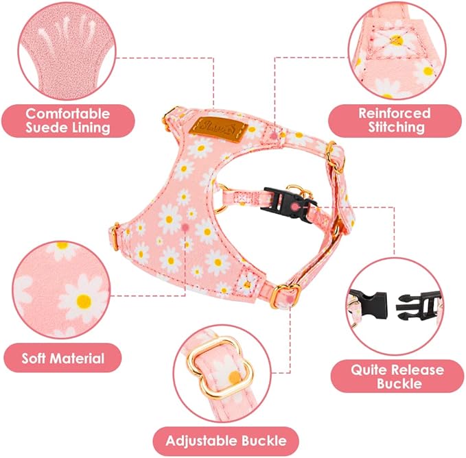 Lukovee Puppy Harness and Leash Set, No Pull Lightweight Soft Suede Adjustable Pet Harness Vest with Snap Buckle for Puppy Small and Medium Size Dog (PI-M)