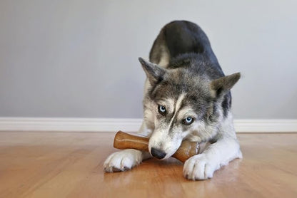 Nylabone Puppy Chew Knuckle Bone - Chewing Toys for Puppies - Puppy Supplies - Chicken Flavor, X-Large, Over 50 Ibs. (1 Count)