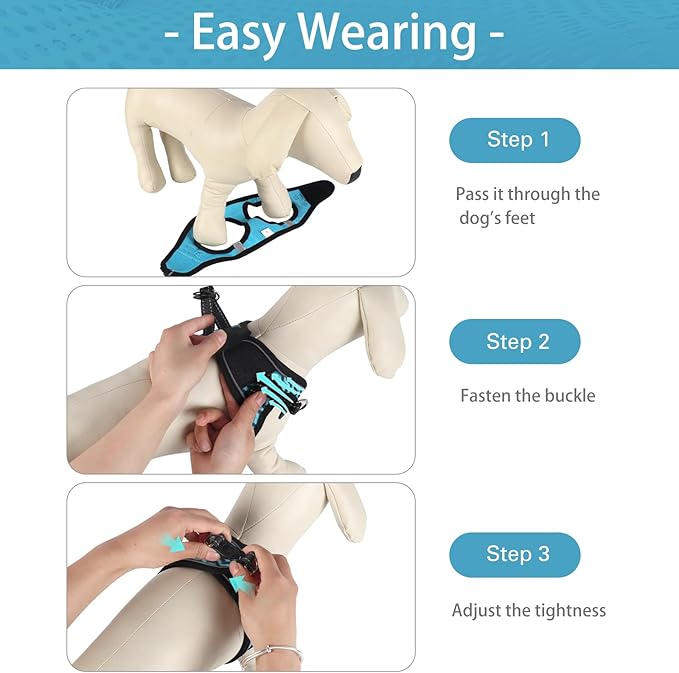 YIMEIS Dog Harness (XS, Blue) for Small Dogs, Lightweight Harness & Leash Set, Adjustable, Reflective, Breathable, 360°Visibility, Playful Style
