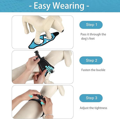 YIMEIS Dog Harness (XS, Blue) for Small Dogs, Lightweight Harness & Leash Set, Adjustable, Reflective, Breathable, 360°Visibility, Playful Style