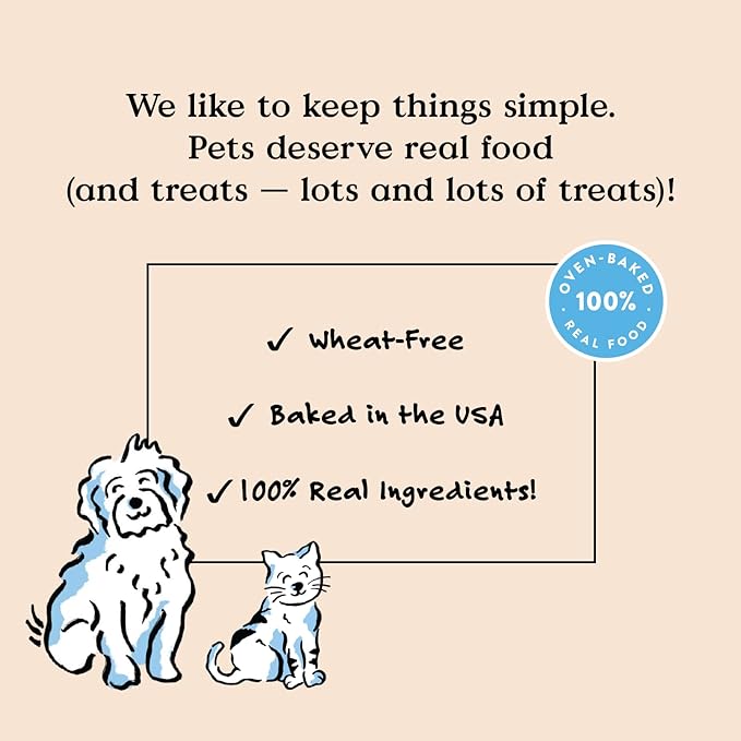 Bocce's Bakery Pumpk'n Spice Treats for Dogs, Wheat-Free Everyday Dog Treats, Made with Real Ingredients, Baked in The USA, Natural Soft & Chewy Cookies, Pumpkin, Peanut Butter, & Cinnamon, 6 oz