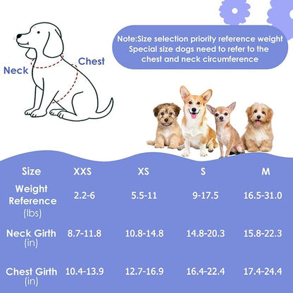 Lukovee Puppy Harness and Leash Set, No Pull Lightweight Soft Suede Adjustable Pet Harness Vest with Snap Buckle for Puppy Small and Medium Size Dog (Blue Flower, XXS)