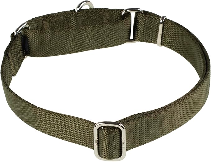 Hyhug Martingale Collar for Dogs Small Green |Escape - Proof Heavy Duty Nylon Durable No Buckle, Ideal for Training & Daily Walks