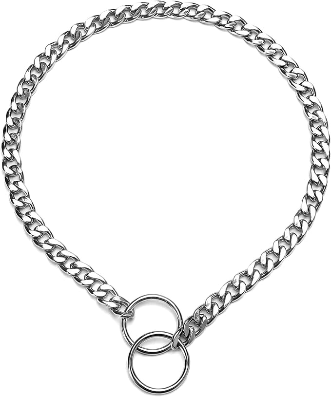 Chain Collar for Dogs, Slip P Chain Metal Link Training Heavy Duty Martingale Dog Collar for Xs Small Medium Large Big XL Breed Dogs (Silver, XL)
