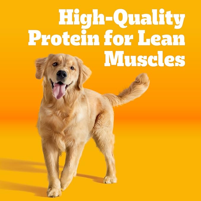 Pedigree Dry Dog Food for Adult Dogs, High Protein, Beef and Lamb Flavor, 3.5 lb. Bag