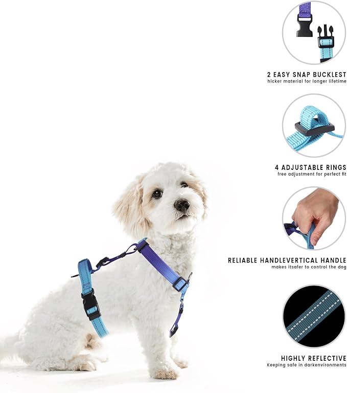Roses&Poetry Small Dog Harness and Leash Set, No Pull Dog Harness Adjustable Reflective, Dog Halter Harnesses Comfort Padded Handle, Pet Harness for Training Outdoor Walking（Gsky-S