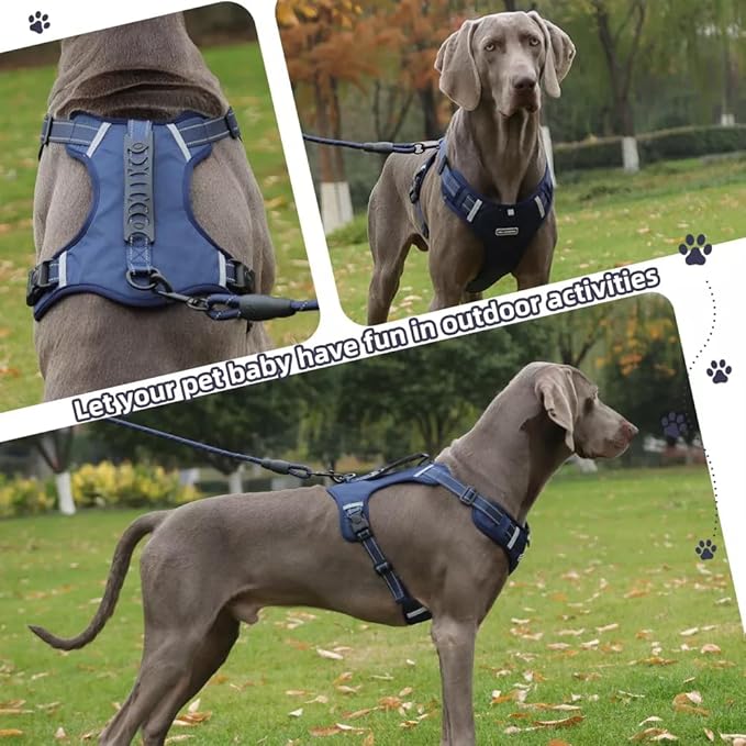 Dog Harness No Pull Adjustable Reflective,for Medium and Large Small Dog with Leash 59.06in (Dark Blue, XS)
