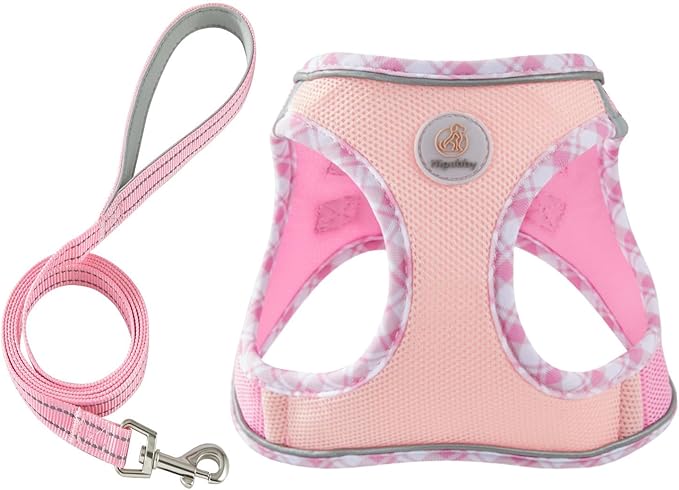 Hipubby Dog Harness Small Sized and Leash Set, No Pull Soft Mesh Puppy Vest, Reflective Breathable Lightweight Pet Harness, Harness for Small Medium Dogs and Cats - Light Pink XS