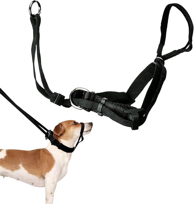 Sporn Head Halter for Dogs, No Pull Dog Harness, Durable Nylon Training Collar for Medium Breeds, No Choke Design, Padded Restraints, Adjustable Fit, Easy On/Off, Black, Medium