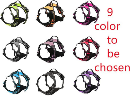 Moonpet Custom Personalized Dog Harness Leash Set with Name and Phone Number,No Pull Heavy Duty Personalized Small Medium Large X-Large Dogs Pet Vest Harness for Training and Walking