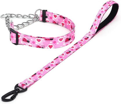 Martingale Dog Collar and Leash Set, Stainless Steel Chain, No Pull Training Collar with Flower Design, for Small, Medium, Large Dogs (NO20, S)