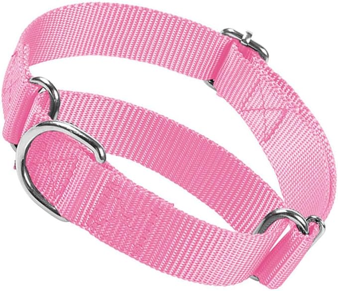 Martingale Collar for Dogs, No Pull Choke Dog Collar Escape Proof Cinch Dog Training Collars Adjustable for Small Medium Large Breed Pet Dogs, Pink M
