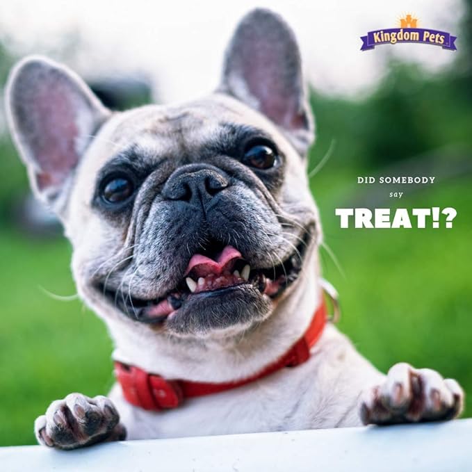 Duck Jerky Dog Treats with Only 3 Ingredients and No Fillers, 2.5 Pound Bag