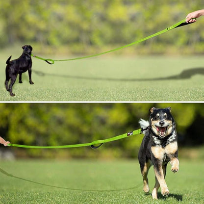 Plutus Pet Double Handle Dog Leash 4ft, Heavy Duty, Reflective Dual Handle Dog Leash for Safety Training, for Medium Large Dogs,2 Handle Leads(Green)