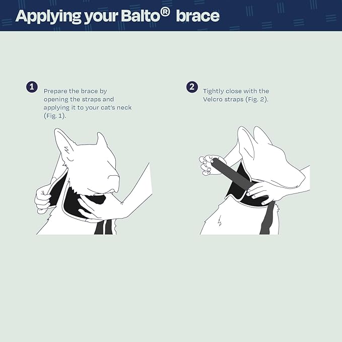 Balto Neck Eco Soft Recovery Collar for Dogs – E-Collar Alternative for Post-Surgery, Allergy Relief & Wound Protection – Adjustable, Breathable, Washable Cone – Vet-Approved (Medium)
