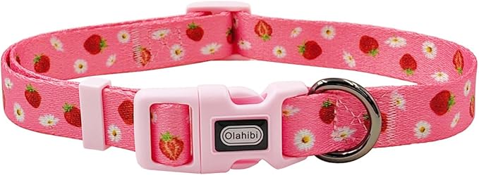 Dog Collar Leash Set, Floral Pattern, Polyester Material, Adjustable Collar and 5ft Matchcing Leash, for Medium Dogs.(M,Daisy and Strawberry)
