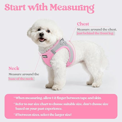 rabbitgoo Dog Harness Small Sized and Leash Set, Step in Soft Light Puppy Vest, Breathable Mesh Pet Harness, Reflective for Safe Easy Walking, Pink & Gray XS