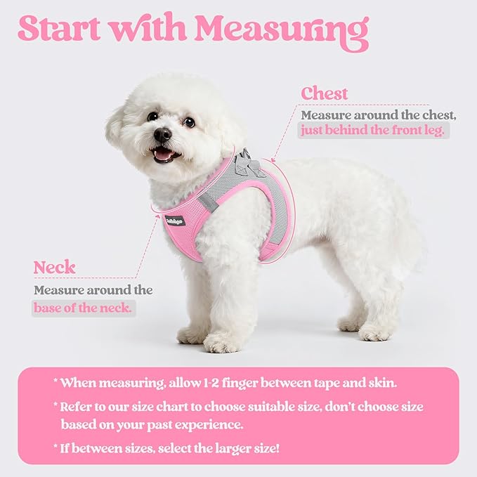 rabbitgoo Dog Harness Small Sized and Leash Set, Step in Soft Light Puppy Vest, Breathable Mesh Pet Harness, Reflective for Safe Easy Walking, Pink & Gray S