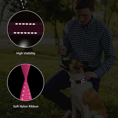 Martingale Dog Collar and Leash Set Martingale Collars for Dogs Reflective Martingale Collar for Small Medium Large Dogs(Hot Pink&L)