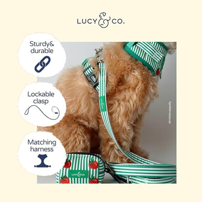 Lucy & Co. Tomato, Tomahto Dog Leash, Durable Matching Dog Lead with Heavy Duty Hardware, Large
