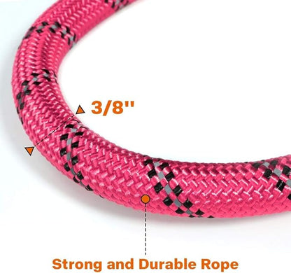 Taglory Rope Dog Leash 4 FT with Comfortable Padded Handle, Highly Reflective Threads Leash and Anti-Tangle Clip for Walking Small Dogs, 3/8 inch, Pink