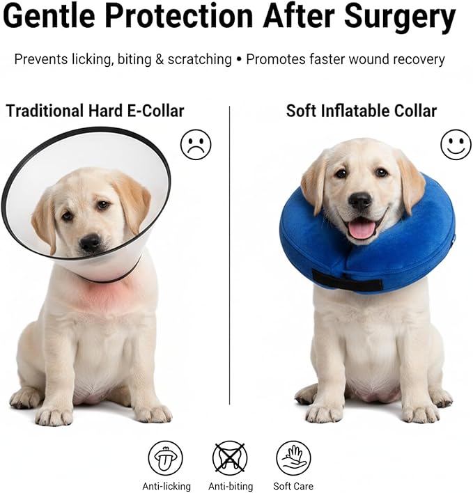 Inflatable Dog Cone Collar Alternative, Soft Dog Cone for Medium Large Dogs and Cats,Pet Neck Recovery ECollar Donut Collar After Surgery (Blue, M2)