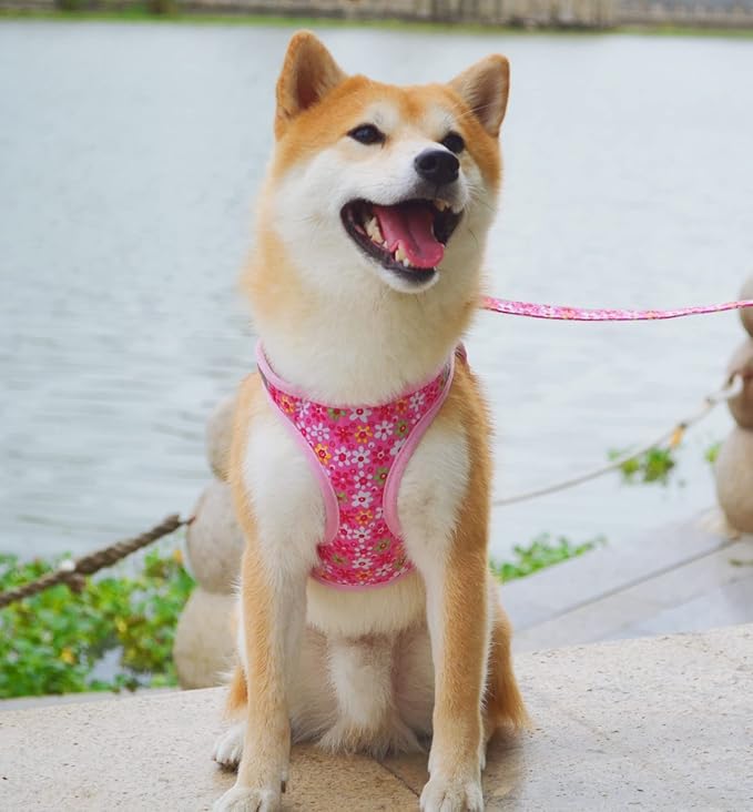 Moonpet Step in Dog Harness Leash Set- All Weather Reflective No-Pull Floral Pattern Padded Mesh Vest Harness for Cats Puppy Extra-Small Small Medium Large Dogs - Pink Flower - L