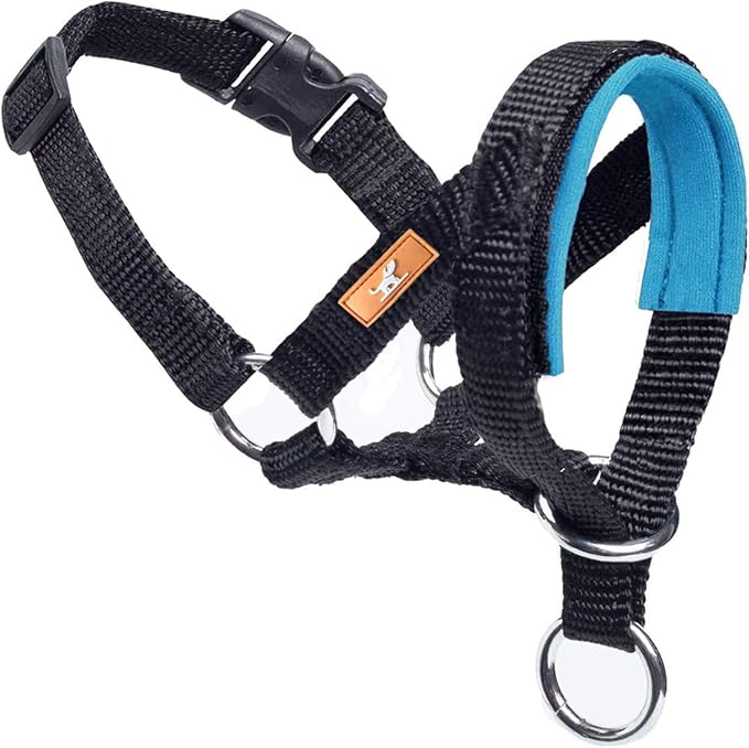 Dog Head Collar, Fabric Padded Head Collar for Dogs to Prevent Pulling, Head Leash for Small Medium Large Dogs Walking(L,Lake Blue)