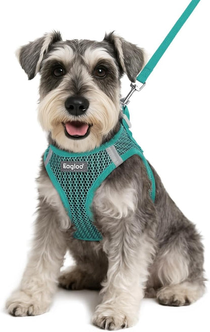 Eagloo Small Dog Harness and Leash Set, Step in Puppy Vest with Breathable Soft Mesh, Walking Reflective Pet Harness for Small Dogs, Forest Green, S
