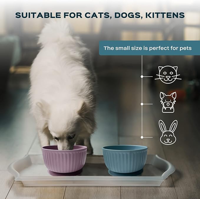 Cat Bowls with Suction Cup 13 Oz — Elevated Silicone Pet Dish with Non-Slip Bottom for Dry Food, Wet Food and Water (Salad)