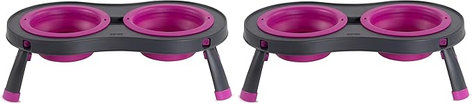 Dexas Pets Double Elevated Pet Feeder, Fuchsia, Small/1 Cup Capacity Bowls (PW1004322405) (Pack of 2)