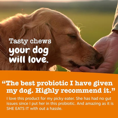 Zesty Paws Probiotics for Dogs, Digestive Enzymes Gut Flora, Digestive Health, Diarrhea & Bowel Support, DE111, Dog Probiotics Soft Chew for Pet Immune System, Chicken, 90 Ct