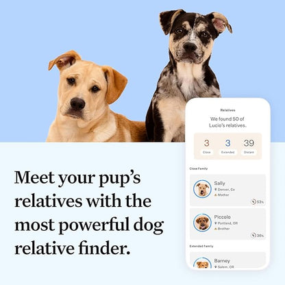 Wisdom Panel Essential Dog DNA Kit: Most Accurate Test for 365+ Breeds, 30 Genetic Health Conditions, 50+ Traits, Relatives, Ancestry - 1 Pack