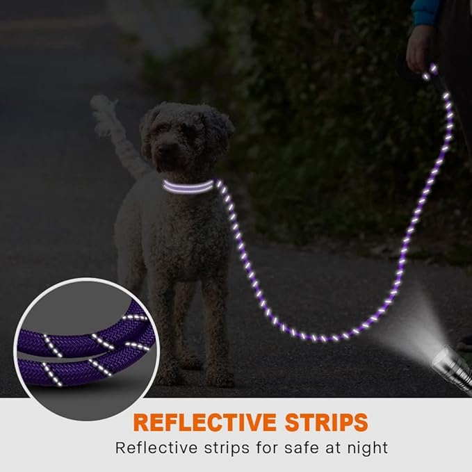 Taglory Rope Dog Leash 5 FT with Comfortable Padded Handle, Highly Reflective Threads Leash and Anti-Tangle Clip for Walking Small Dogs, 3/8 inch, Purple