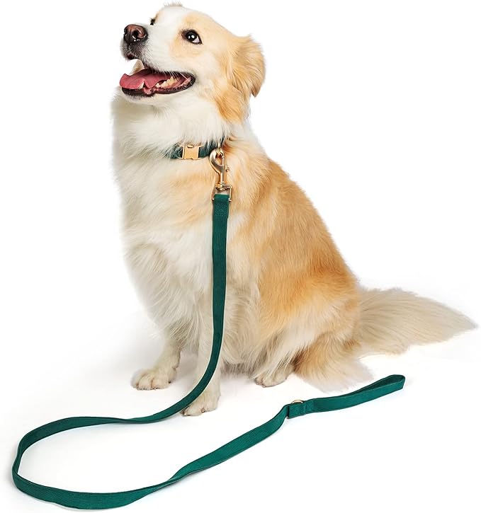 Soft Cotton Dog Leash, 5 Ft Heavy Duty Corduroy Dog Leashes with Gold Metal Hook for Small Medium Large Dogs,Small,Dark Green