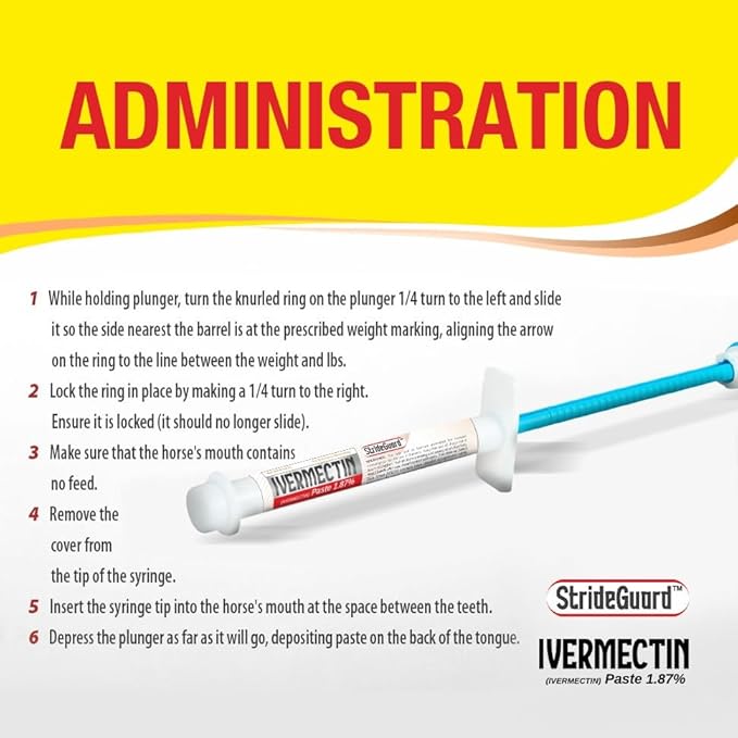 Horse Ivermectin Paste 1.87% – Apple Flavored Oral Horse Dewormer Syringe – 6.08g Tube Treats Horses Up to 1,250 lbs [Pack-1]