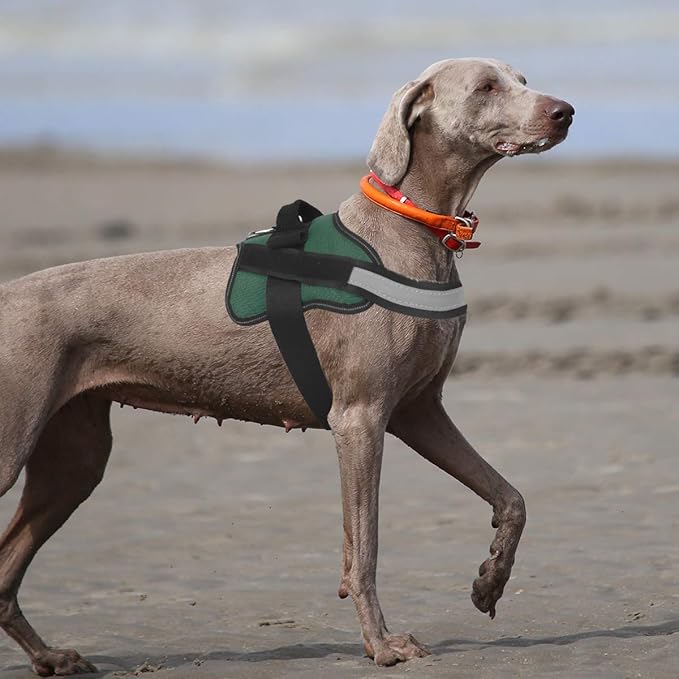 Bolux Dog Harness, No-Pull Reflective Dog Vest, Breathable Adjustable Pet Harness with Handle for Outdoor Walking - No More Pulling, Tugging or Choking (Dark Green, S)