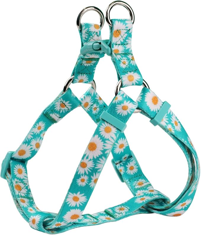 Harness and Leash Set, Floral Pattern, 5ft Matching Leash, No Pull, Easy Wear for Small Puppy Dogs.(XS, Green Daisy)