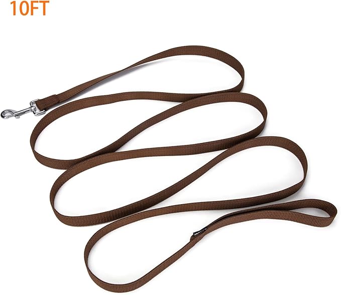 Strong Durable Nylon Dog Training Leash, 1 Inch Wide Traction Rope, 6 ft 10ft 15ft Long, for Small and Medium Dog (Brown, 10 Feet)