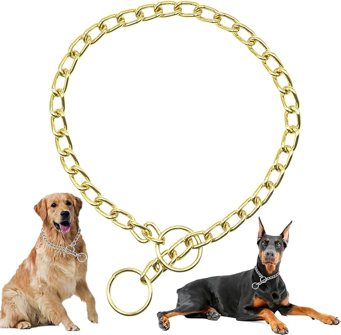 Gold Dog Chain Collars Metal Slip Choke Collar for Dogs Heavy Duty Training Martingale Dog Collars for XXS XS Small Medium Large Breed Pets Dogs, XSmall